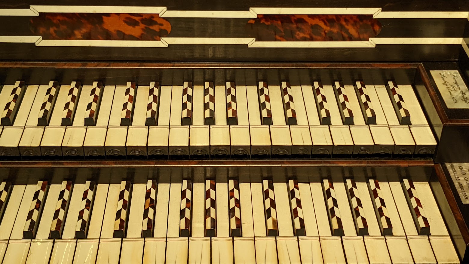 PXL_20220628_112021773 PXL_20220628_112021773