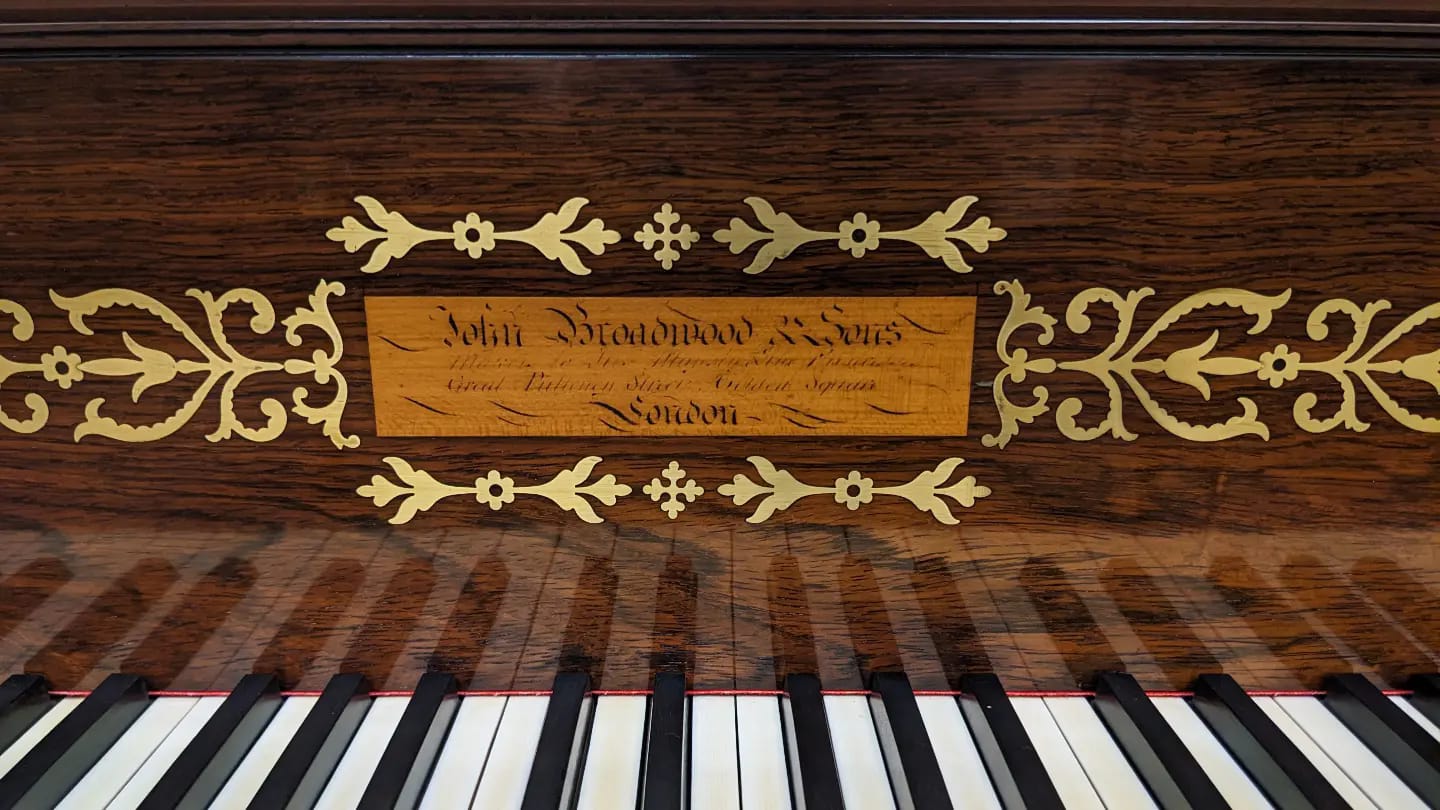 320949477_560680402543707_8580786018435972383_n