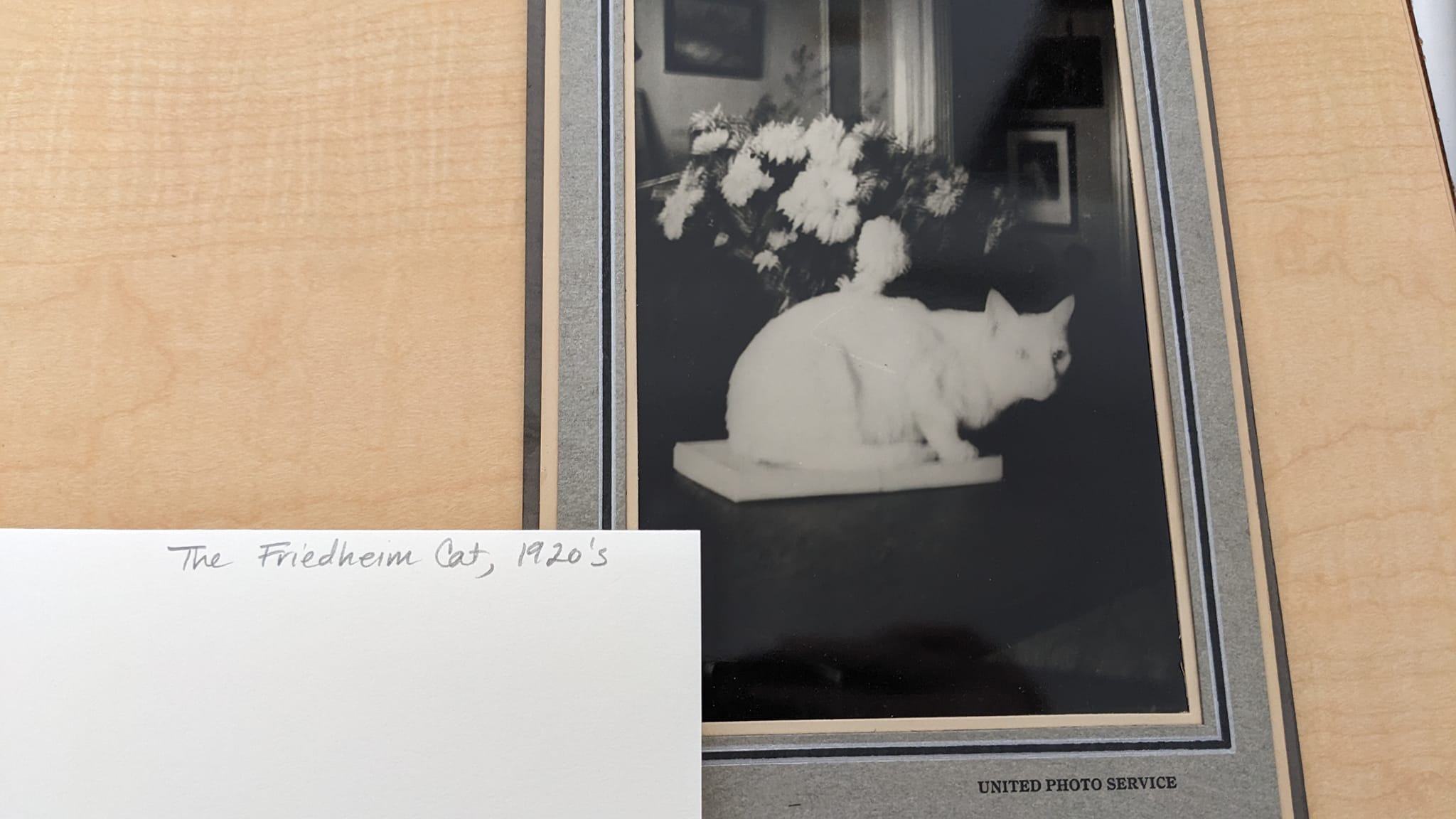 356264020_10226728011137777_7060442901647236797_n