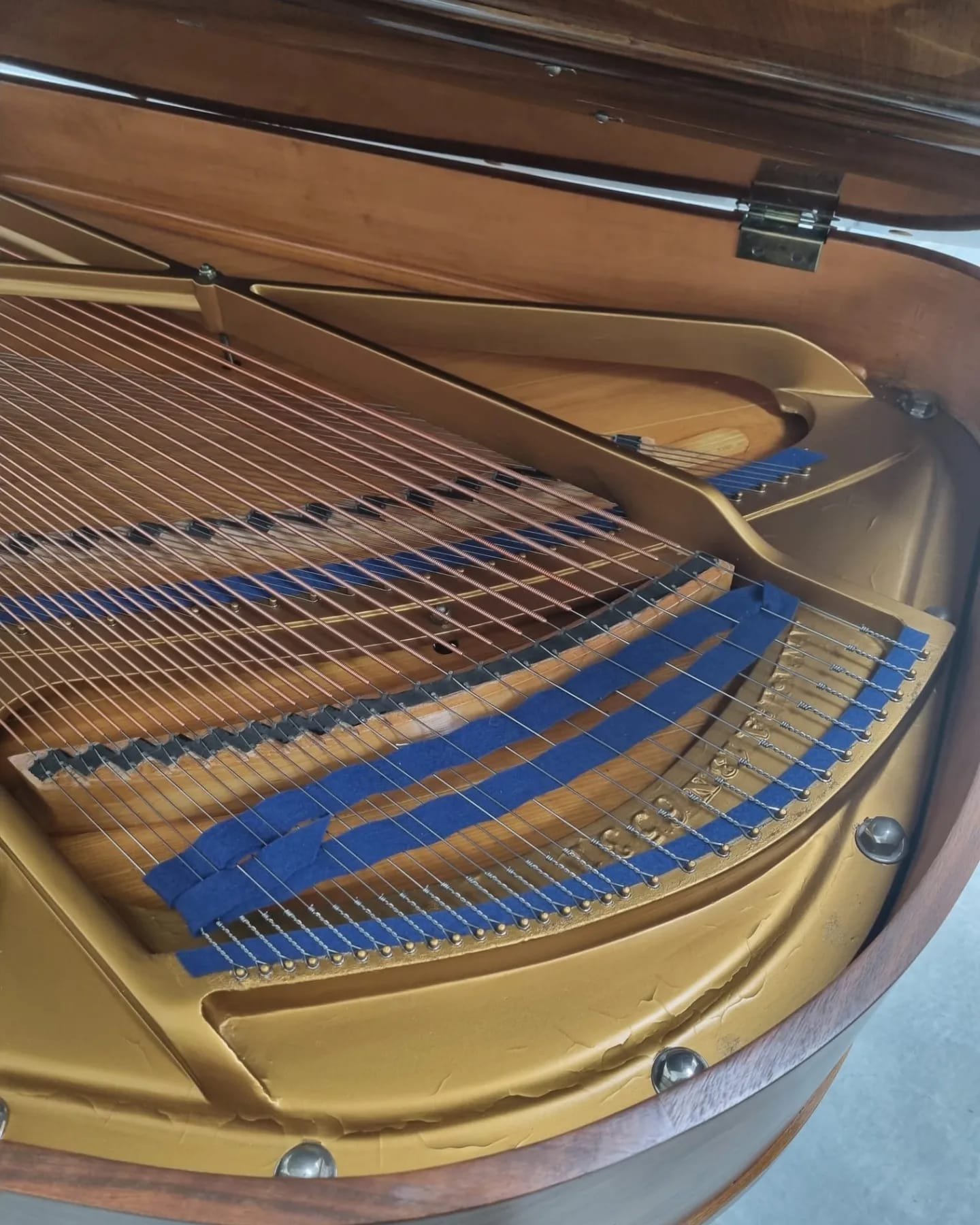 292816357_420184393459441_4954692174397341900_n