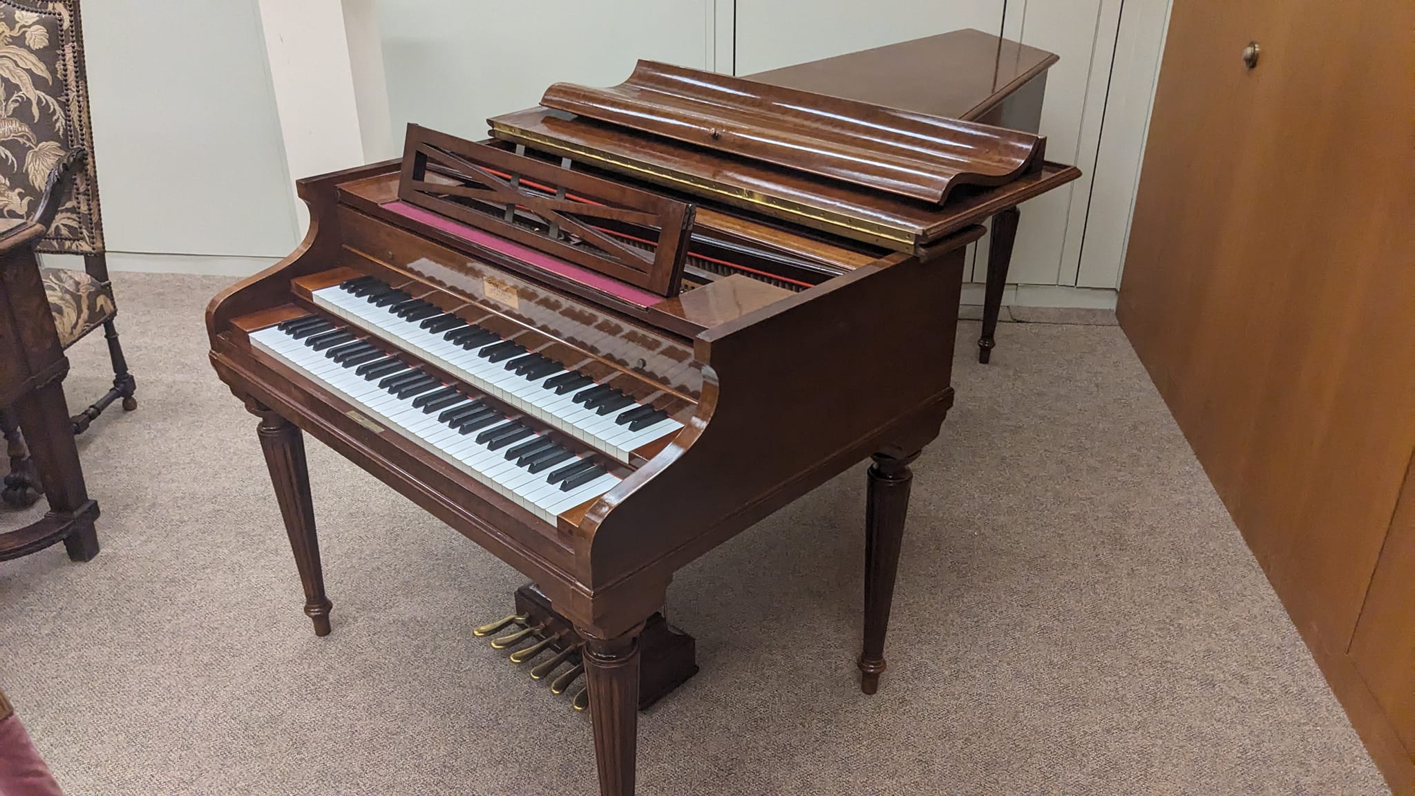 356844784_10226738328915715_2826301819880541460_n